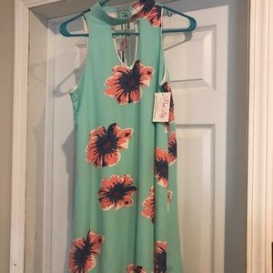 Pink Lily Boutique dress